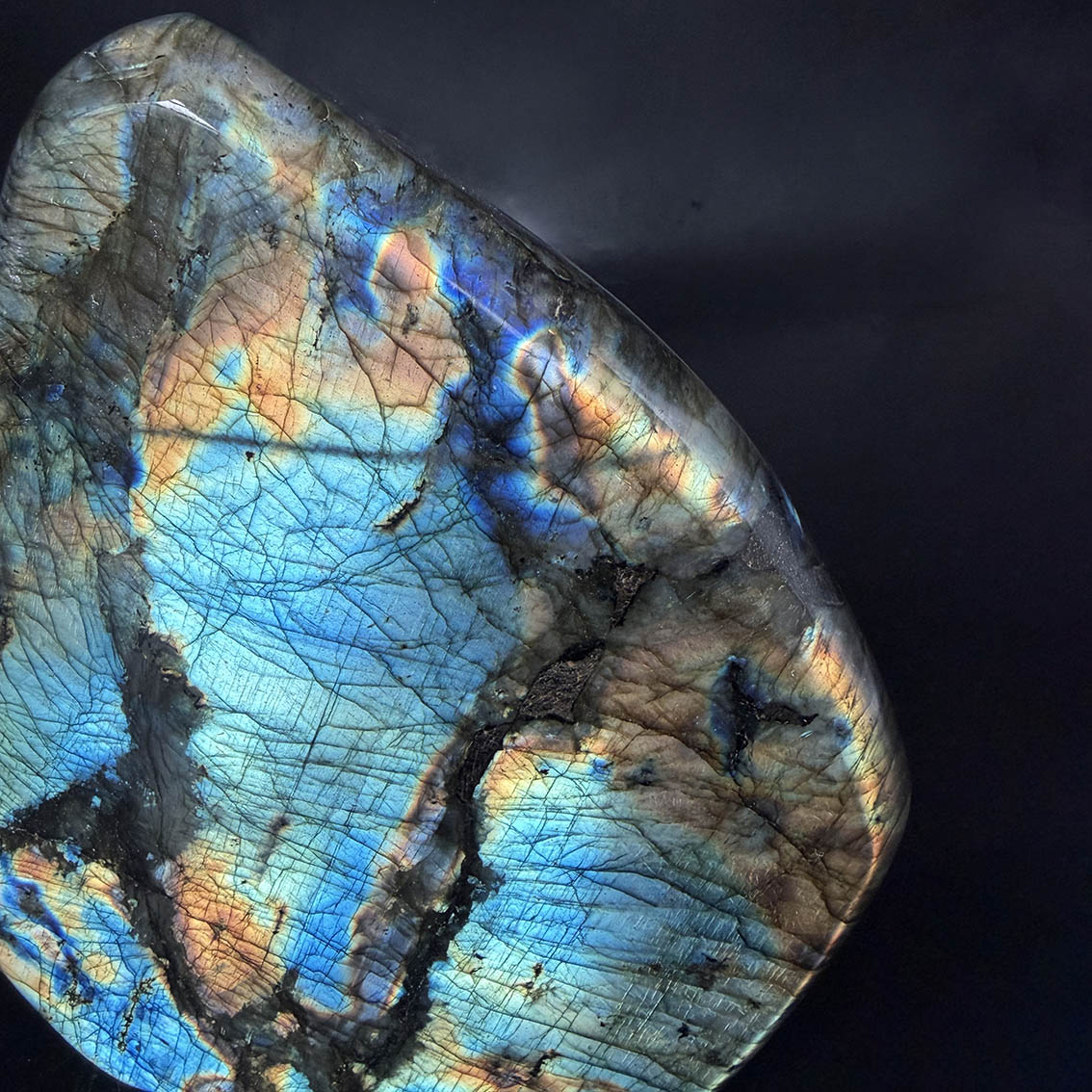 Labradorite (Lemurian Blue) - L20 - Image 3