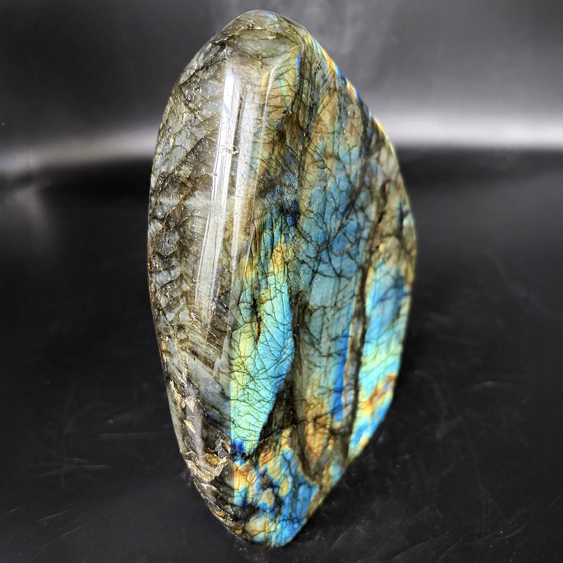 Labradorite (Lemurian Blue) - L20 - Image 5