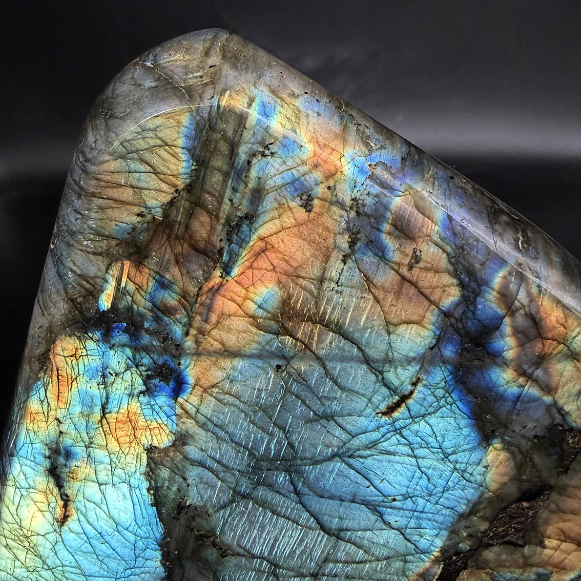 Labradorite (Lemurian Blue) - L20 - Image 7