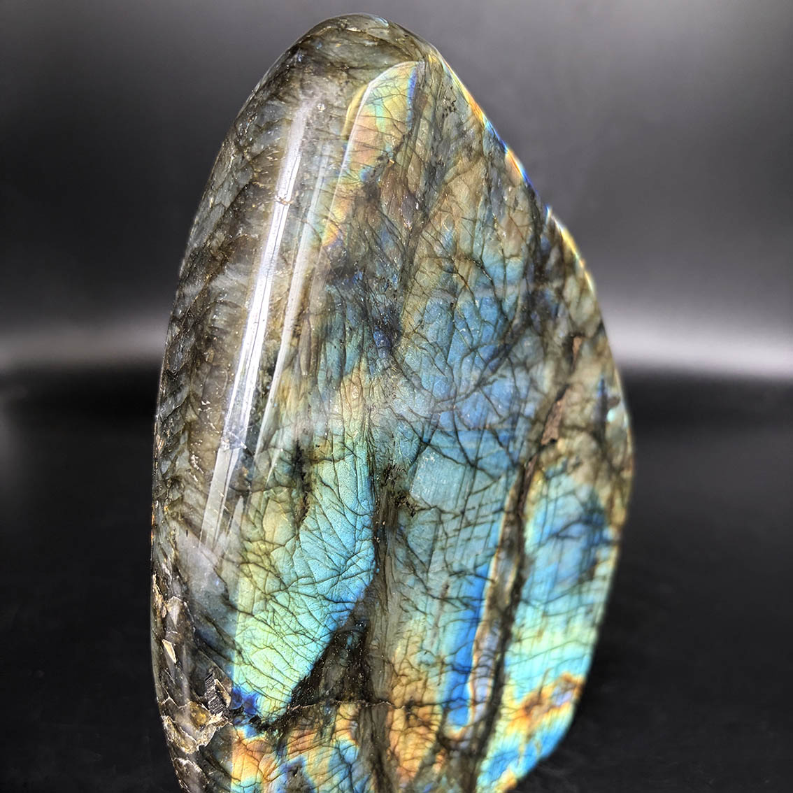 Labradorite (Lemurian Blue) - L20 - Image 11