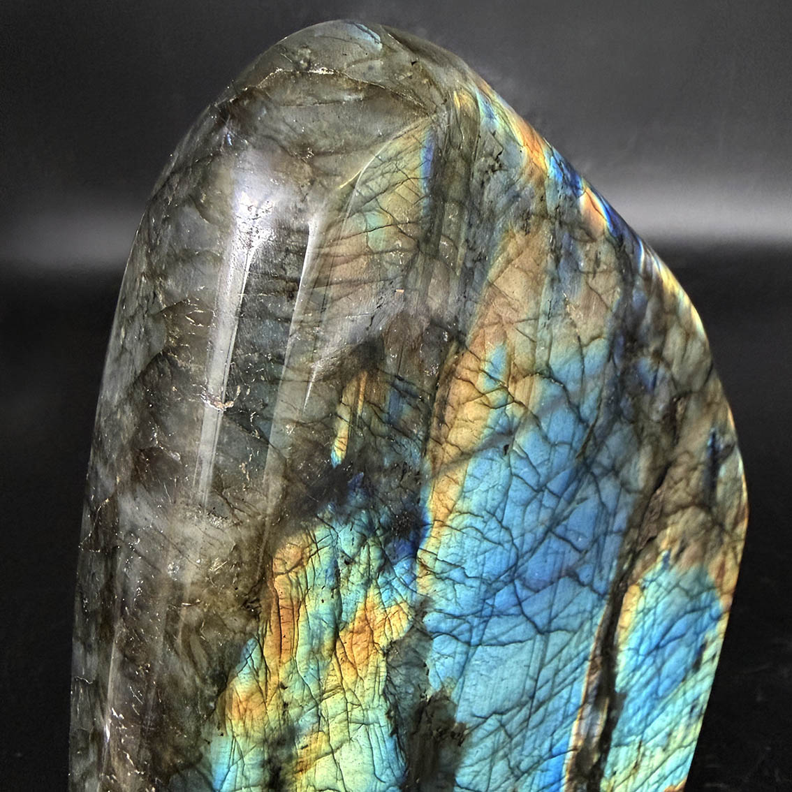 Labradorite (Lemurian Blue) - L20 - Image 12
