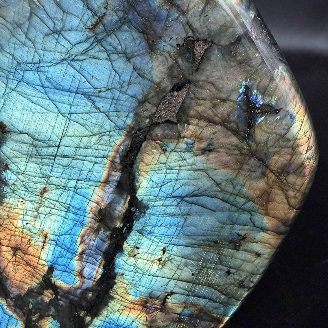 Labradorite (Lemurian Blue) - L20 - Image 14
